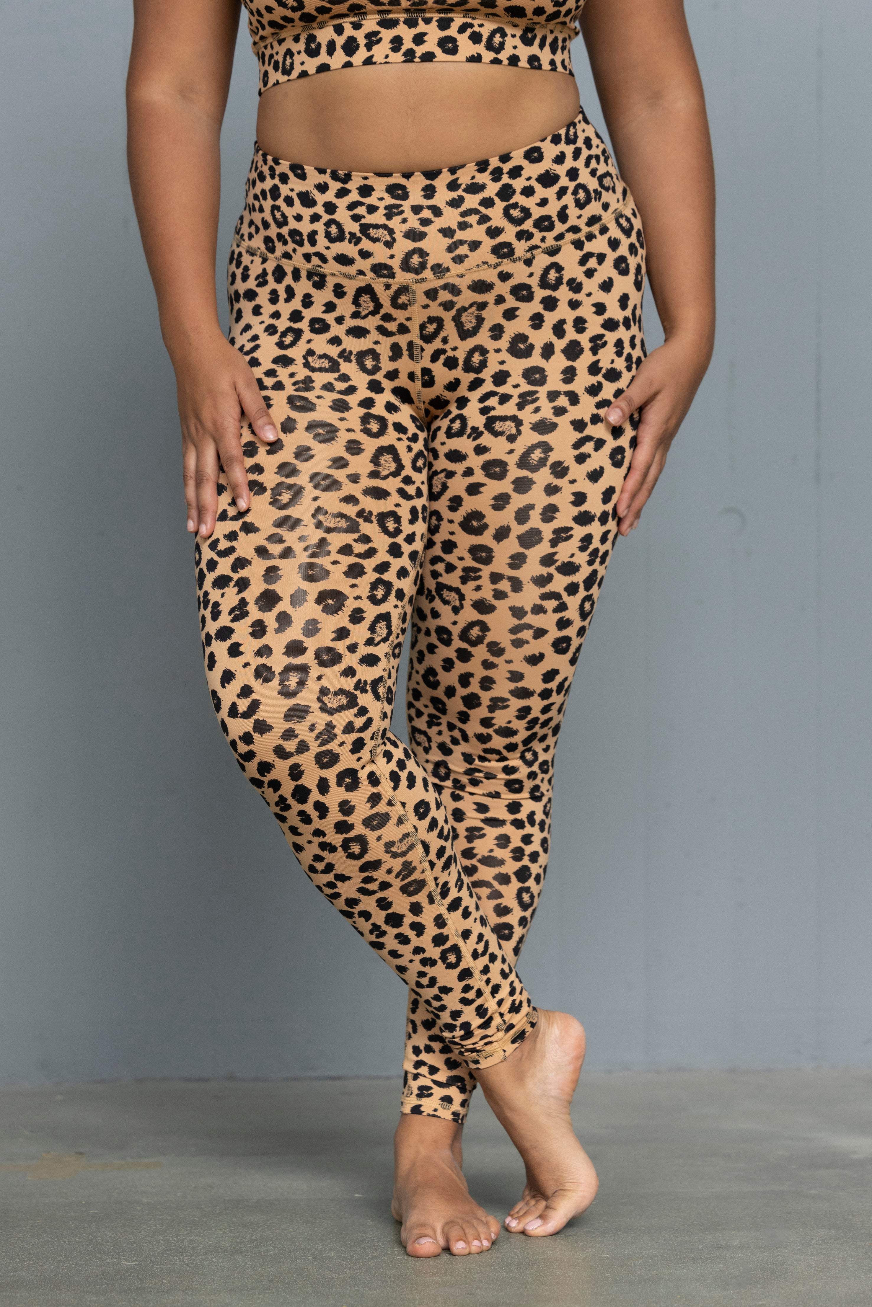 Leo Biscuit Set | Hey Honey & Active Wear